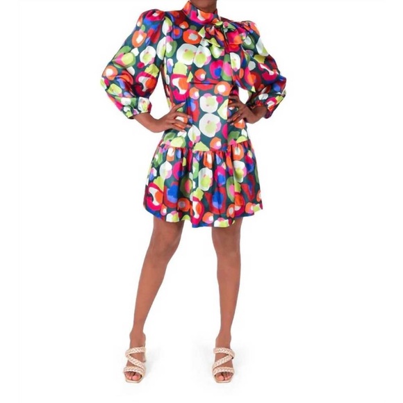 NWT Emily McCarthy Bella Dress in Winter Pop Cheetah Sz XL - Picture 1 of 13